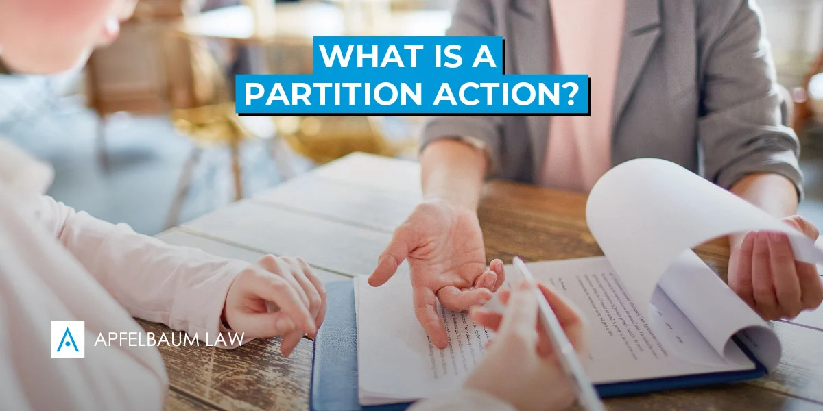 What is a partition action? All you need to know